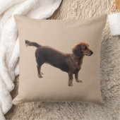 ザゴールデンダックシュント クッション (ブランケット)