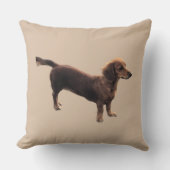 ザゴールデンダックシュント クッション (正面)