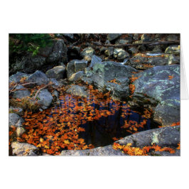 ザゴールデンプール