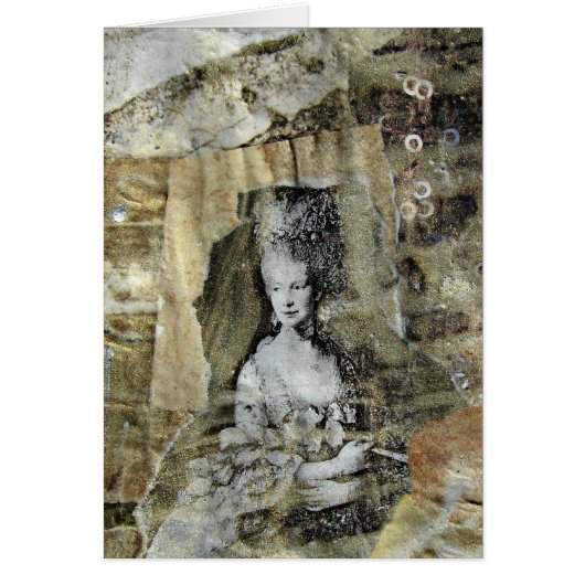 ザゴールデンレディーミックスメディア (正面)