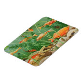 ザゴールデンTouch2011 マグネット (左側)