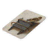 ザゴールドフィンチ マグネット (左側)