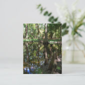 ザサイプレスボード ポストカード (スタンド正面)