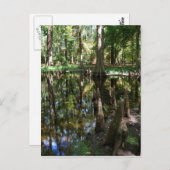 ザサイプレスボード ポストカード (正面/裏面)