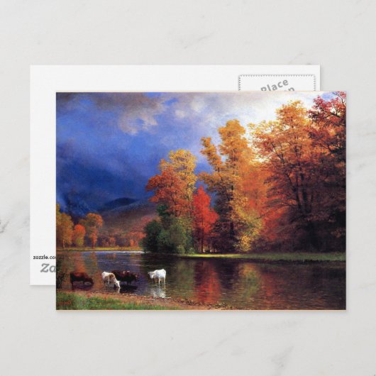 ザサコ ポストカード (正面/裏面)