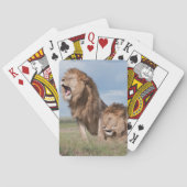 ザサバンナの怠惰なライオン兄弟 トランプ (裏面)