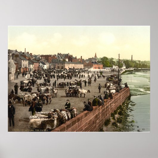 ザサンズ、ダンフリット、スコットランド ポスター (正面)