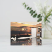 ザサンセットルーム – はがき (スタンド正面)