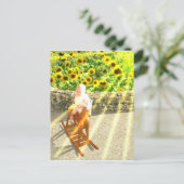 ザサンタロットカードアート ポストカード (スタンド正面)