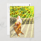 ザサンタロットカードアート ポストカード (正面/裏面)