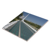 ザサンダイヤルブリッジアットタートルベイ タイル (側面)