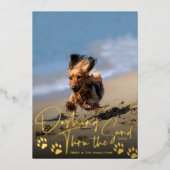 ザサンドドッグビーチ 箔シーズンカード (正面)