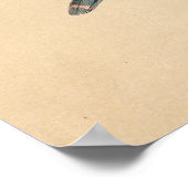 ザサーカー《鳥》ハヤブサバイジョセフ・ウルフ ポスター (角)