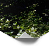 ザサーモン川橋、ギスボロー株式会社N.S. ポスター (角)