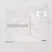 ザシェパードズオブアルカディアバイニコラスポウサン ポストカード (裏面)