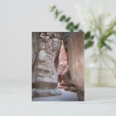 ザシク ポストカード (スタンド正面)