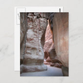 ザシク ポストカード (正面/裏面)