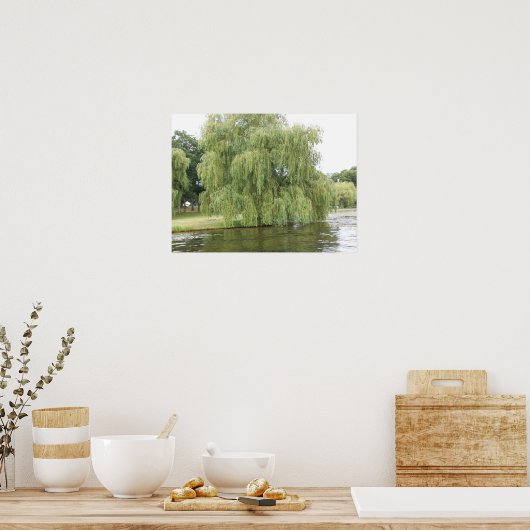 ザシダヤナギ ポスター (キッチン)