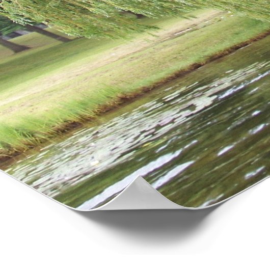 ザシダヤナギ ポスター (角)