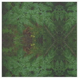 ザシダ ファブリック