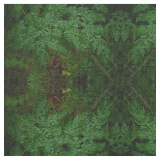 ザシダ ファブリック (クローズアップ)