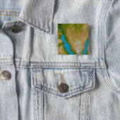 ザシナイ半島 缶バッジ (インサイチュ)