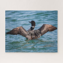 ザシネンドルーンパズル