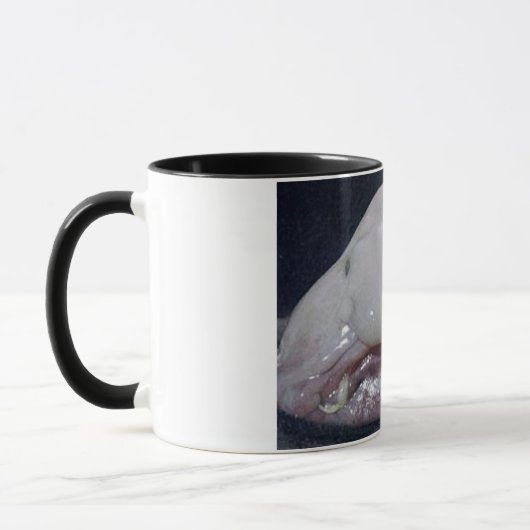 ザシノミ マグカップ (左)