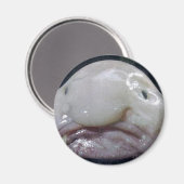 ザシノミ マグネット (正面/裏面)