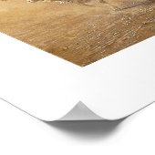 ザシモーム ポスター (角)