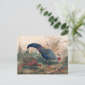 ザシャムキジャントバイジョセフウルフ ポストカード (スタンド正面)