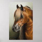 ザシャレード ポスター (正面)