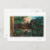 ザシャンデリアの木、アンダーウッドパーク ポストカード (正面/裏面)