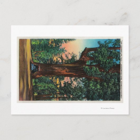 ザシャンデリアの木、アンダーウッドパーク ポストカード (正面)