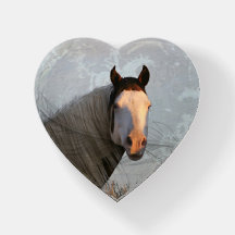 ザシャーマンペーパーウェイト