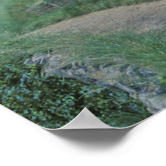 ザシャー™ ポスター (角)