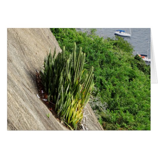 ザシュガーローフ (正面横)