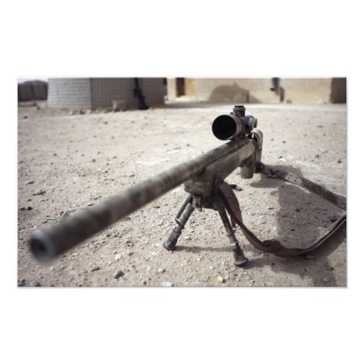 ザシュミット&ベンダーM-854155 DS フォトプリント            (正面)