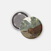 ザショアのカモノハシ マグネット (正面/裏面)