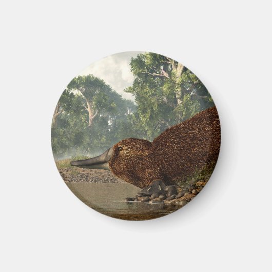 ザショアのカモノハシ マグネット (正面)