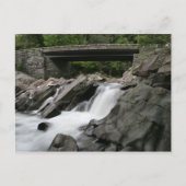 ザシンク ポストカード (正面)