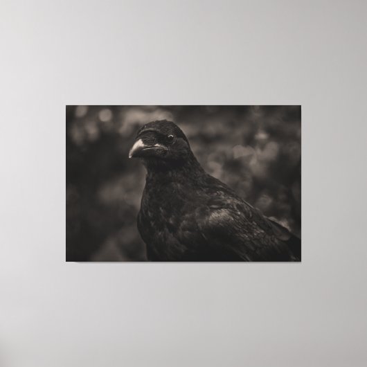 ザシーカー キャンバスプリント (正面)