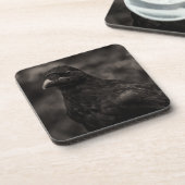 ザシーカー コースター (左側)