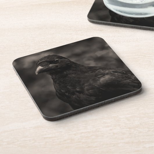 ザシーカー コースター (左側)