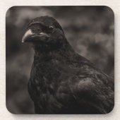 ザシーカー コースター (正面)