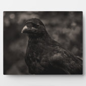 ザシーカー フォトプラーク (正面)