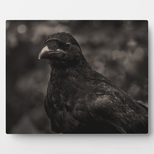 ザシーカー フォトプラーク (正面)