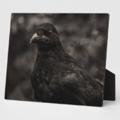 ザシーカー フォトプラーク (側面)