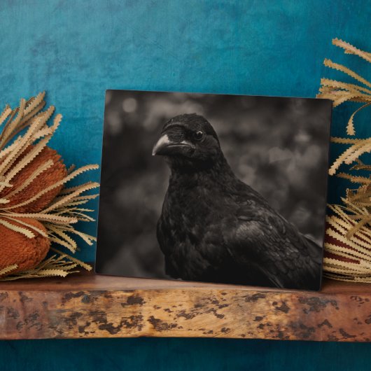 ザシーカー フォトプラーク (側面)