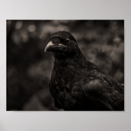 ザシーカー ポスター